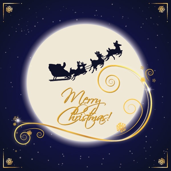 Free Santa Sleigh Vector