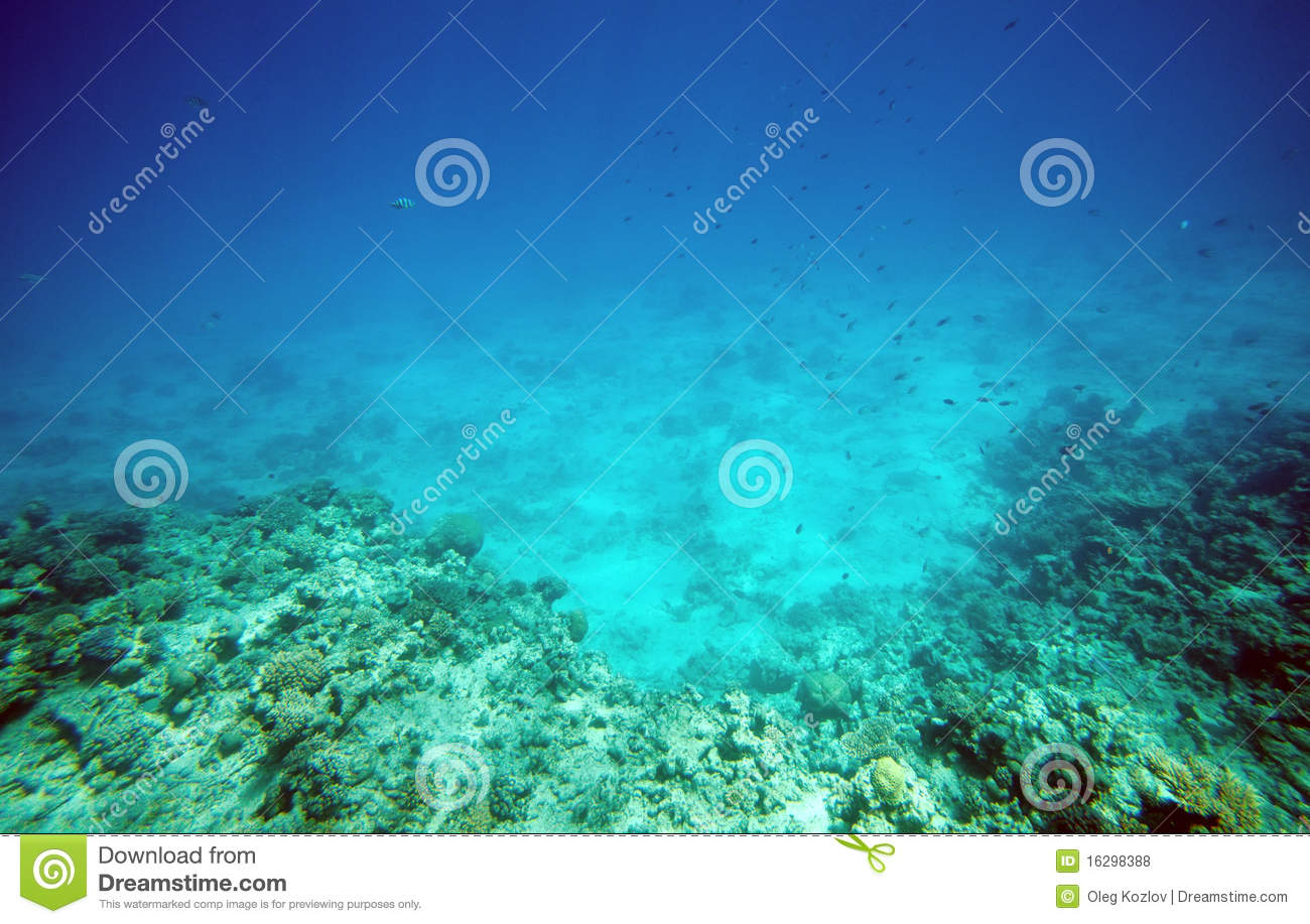Free Underwater Stock Photos