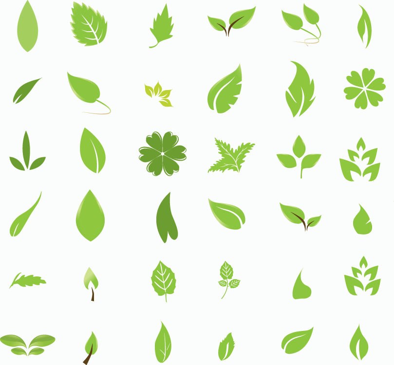 16 Photos of Green Leaf Vector Free Download