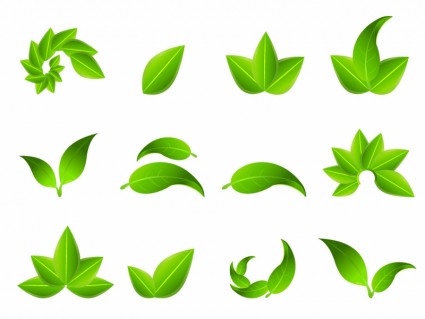 Green Leaf Icon