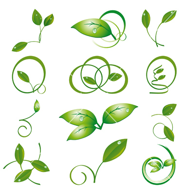 Green Leaf Vector