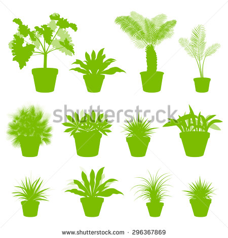 Indoor Houseplants