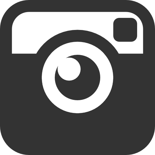 Instagram Icon Vector