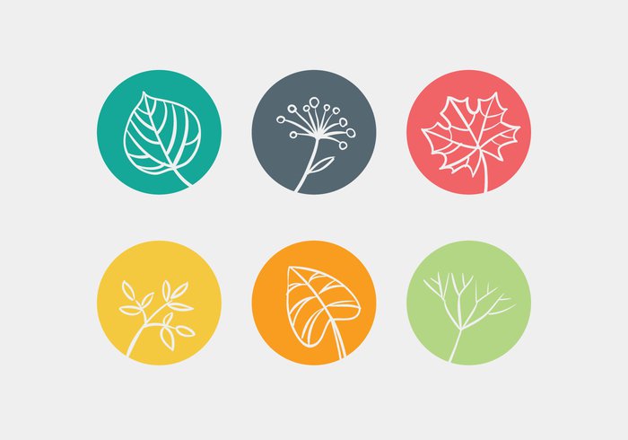 Leaves Vector Icons