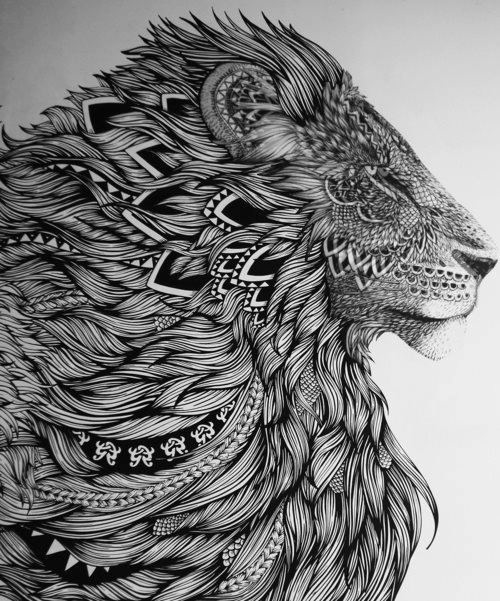 Lion Zentangle Drawing