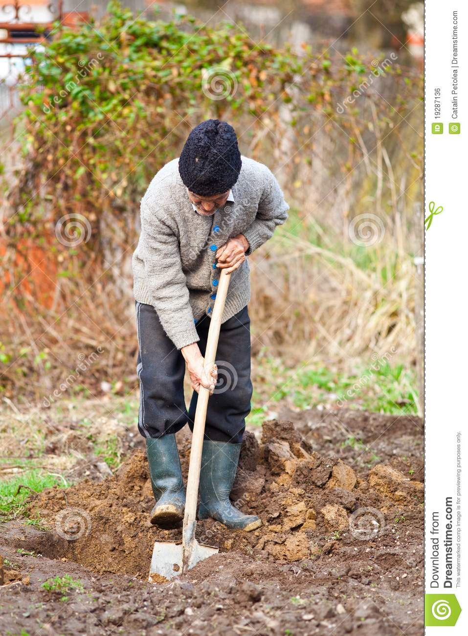Old Man Digging Garden