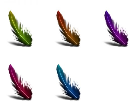 Photoshop Feather Icon