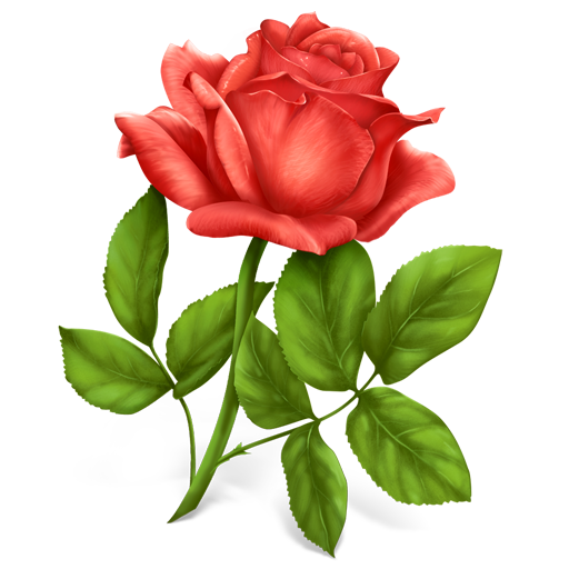 Rose Icon Free Download Birthday