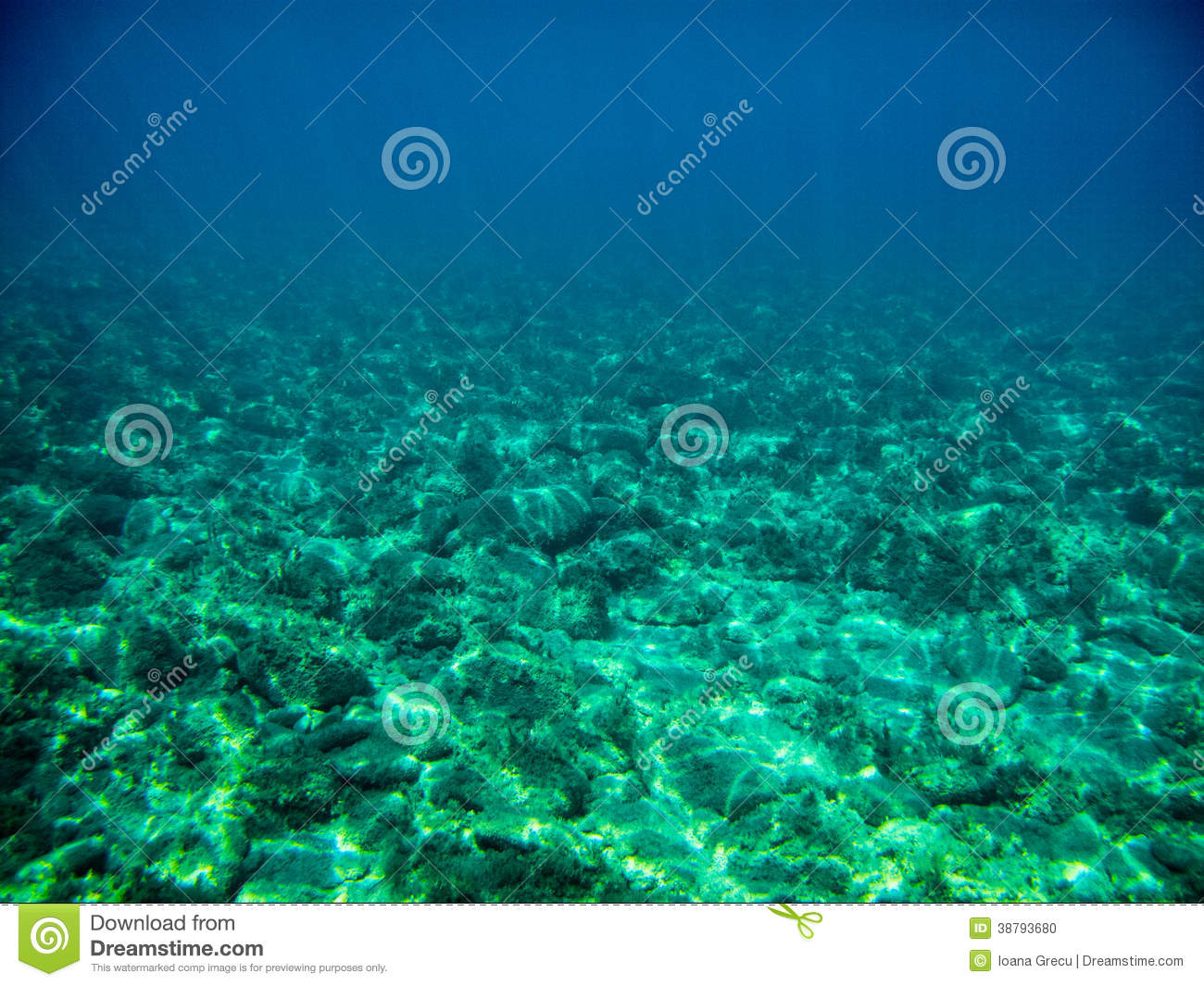 Swimming Underwater View