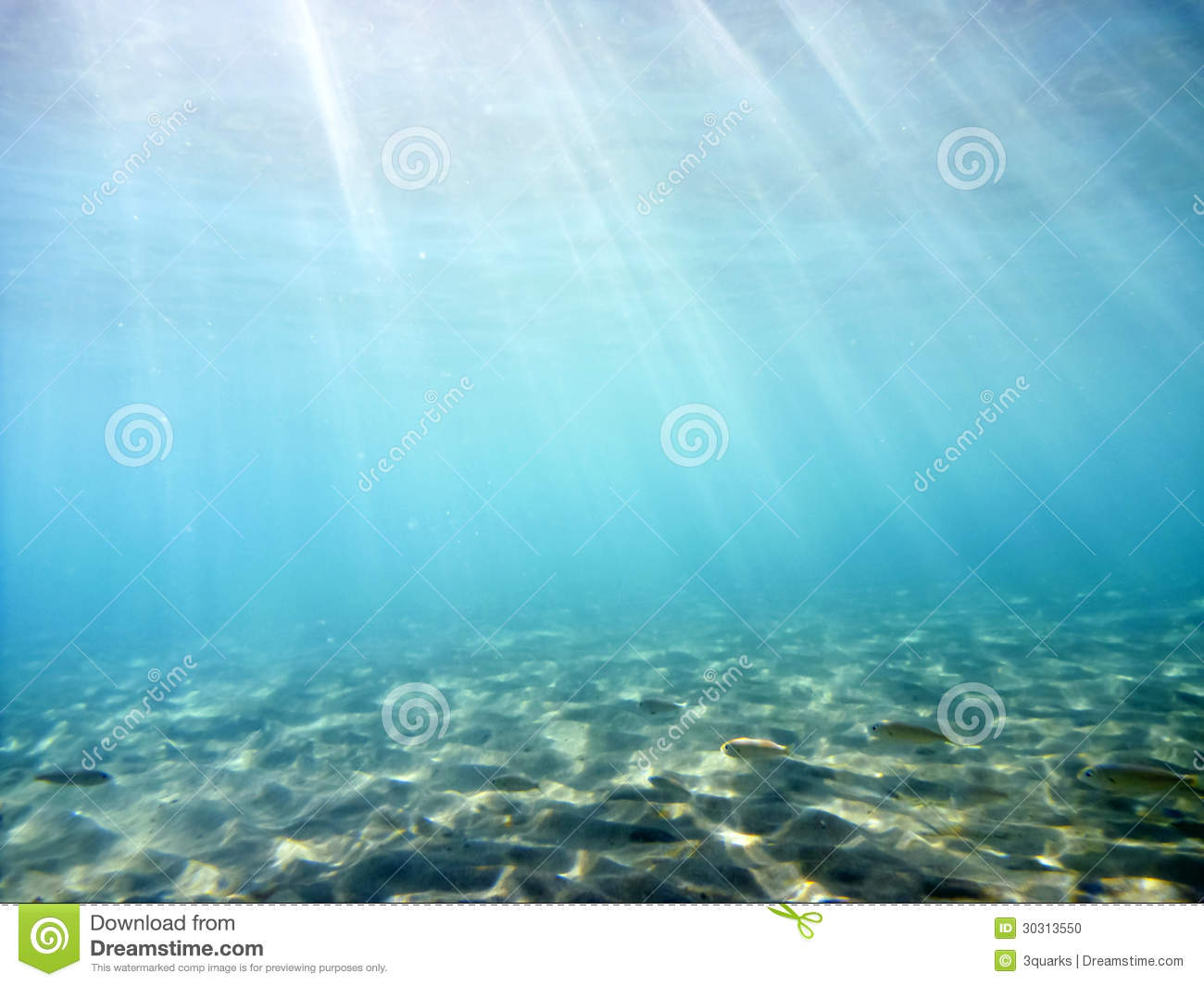 Underwater Ocean Scenes