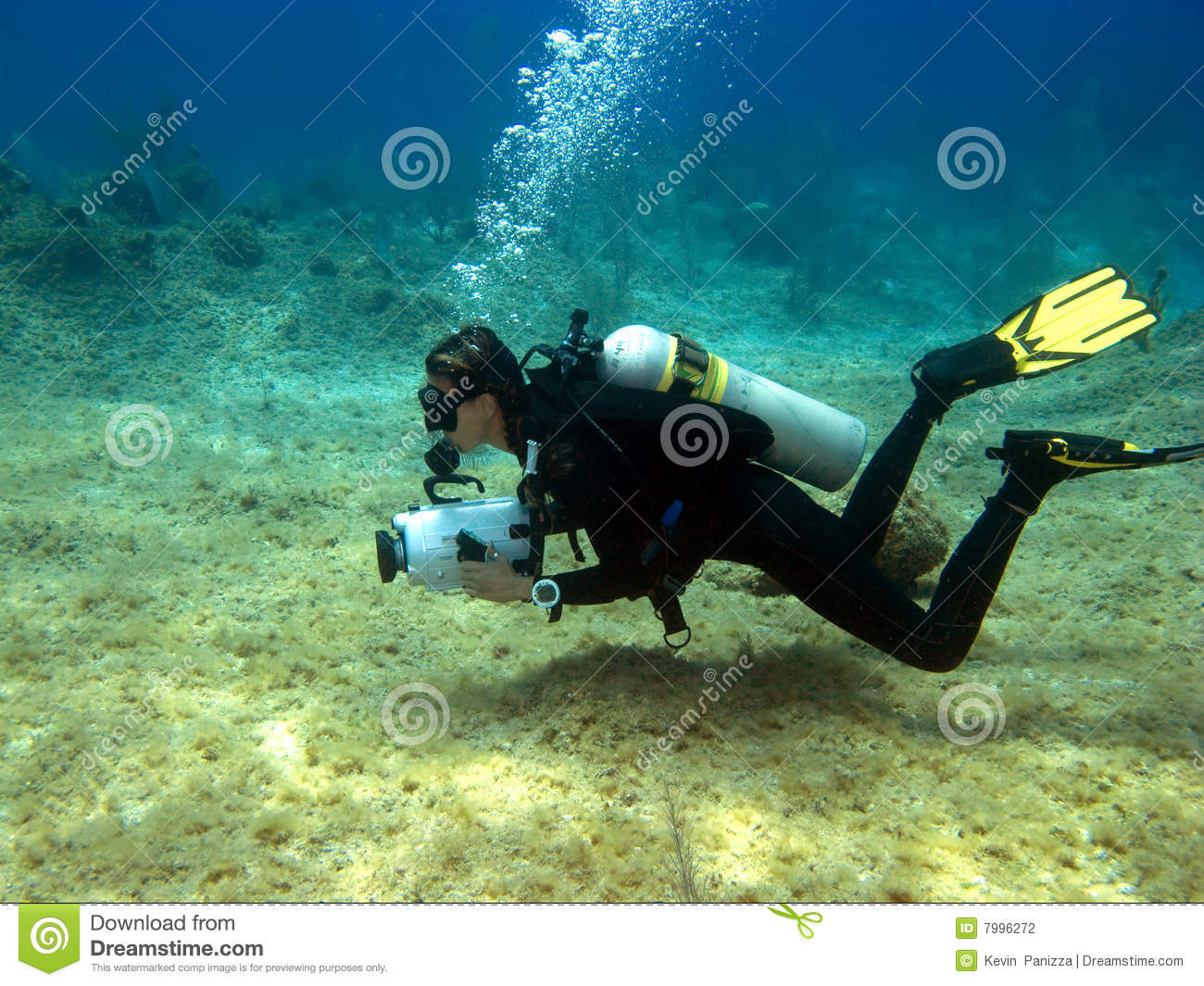 Underwater Photography Cayman Islands