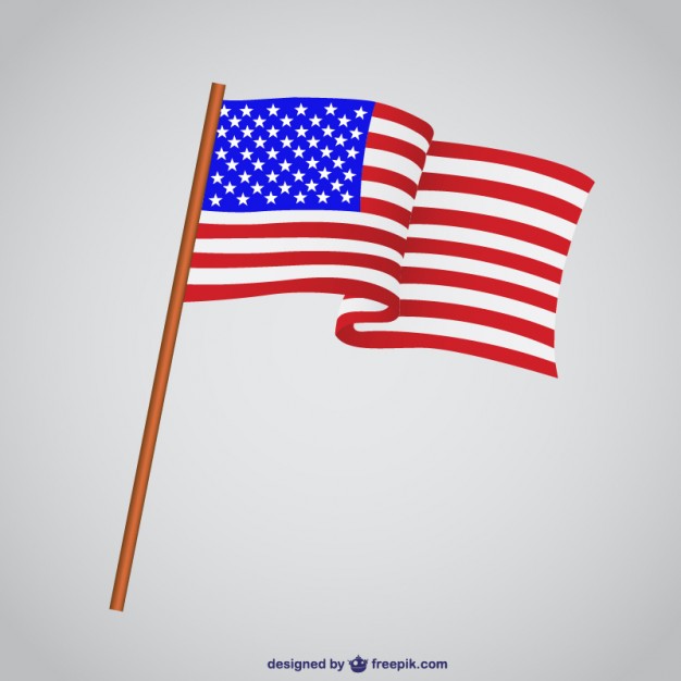 USA Flag Vector Free