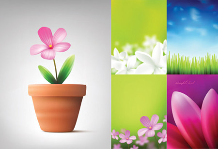 Vector Flowers and Plants