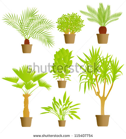 Vector Houseplants