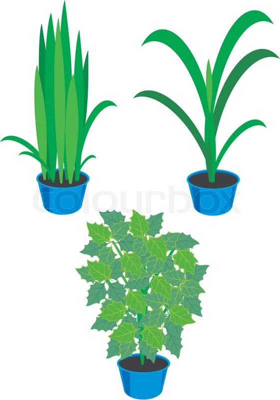 Vector Houseplants