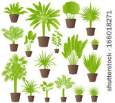 Vector Houseplants