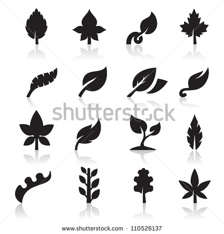 Vector Leaf Icon