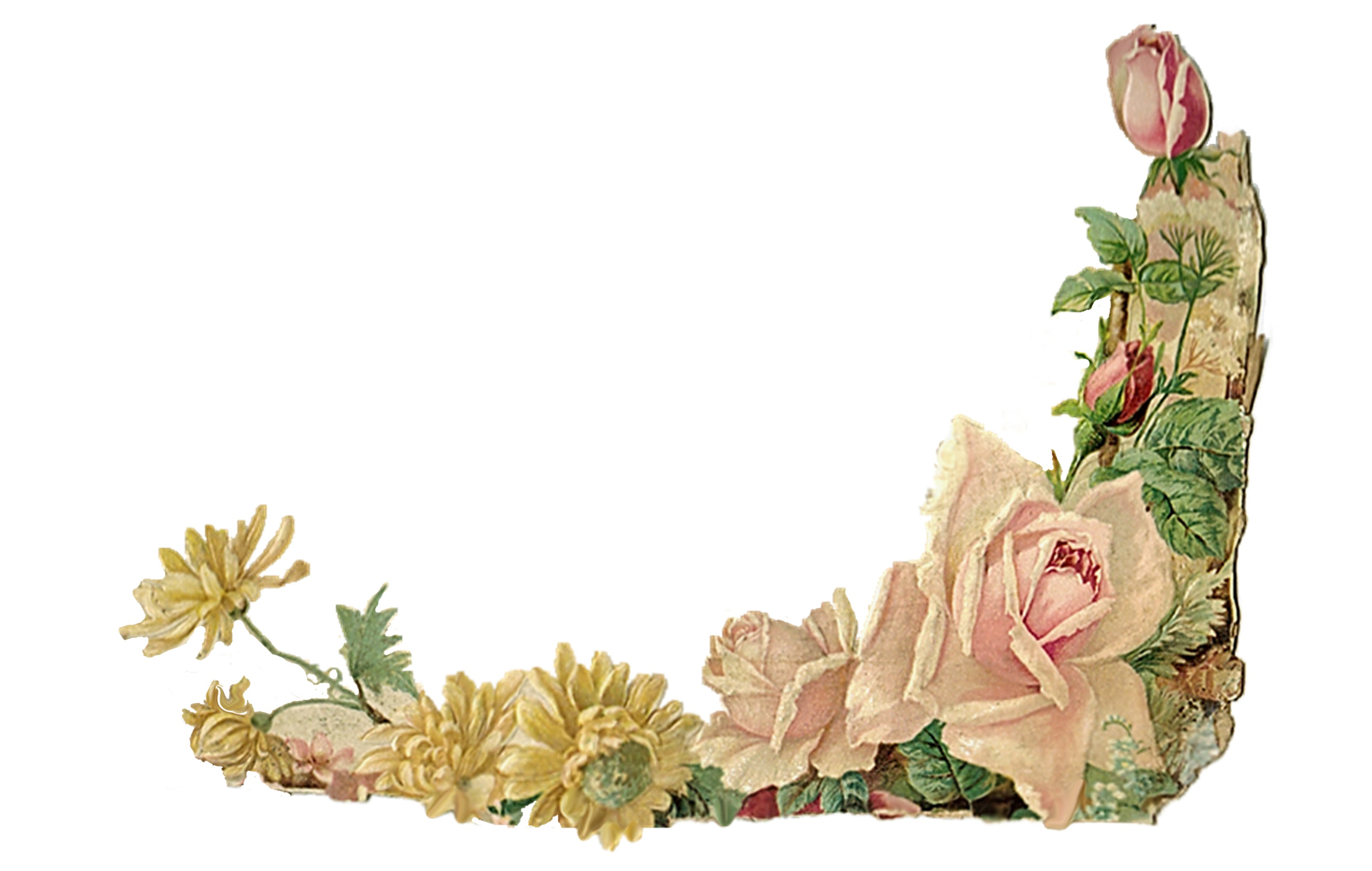 Vintage Flower Border