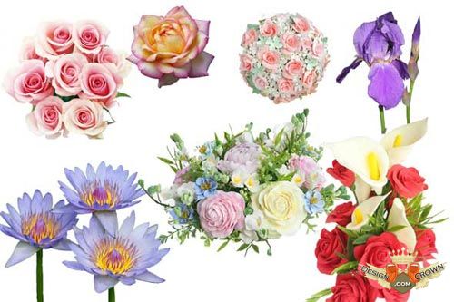 Wedding Flower Bouquet Clip Art