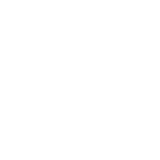 White Instagram Icon