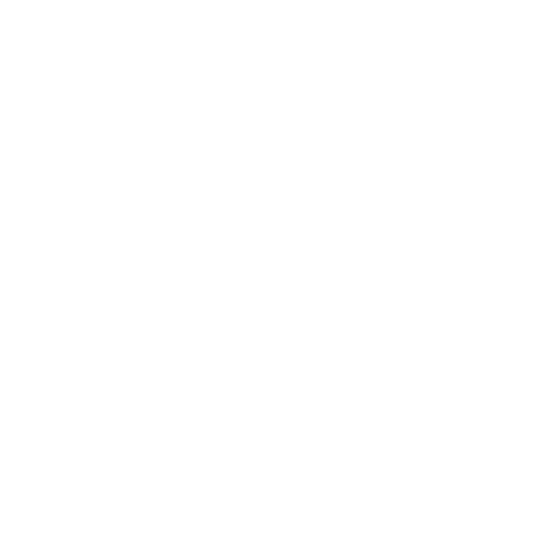 White Instagram Icon