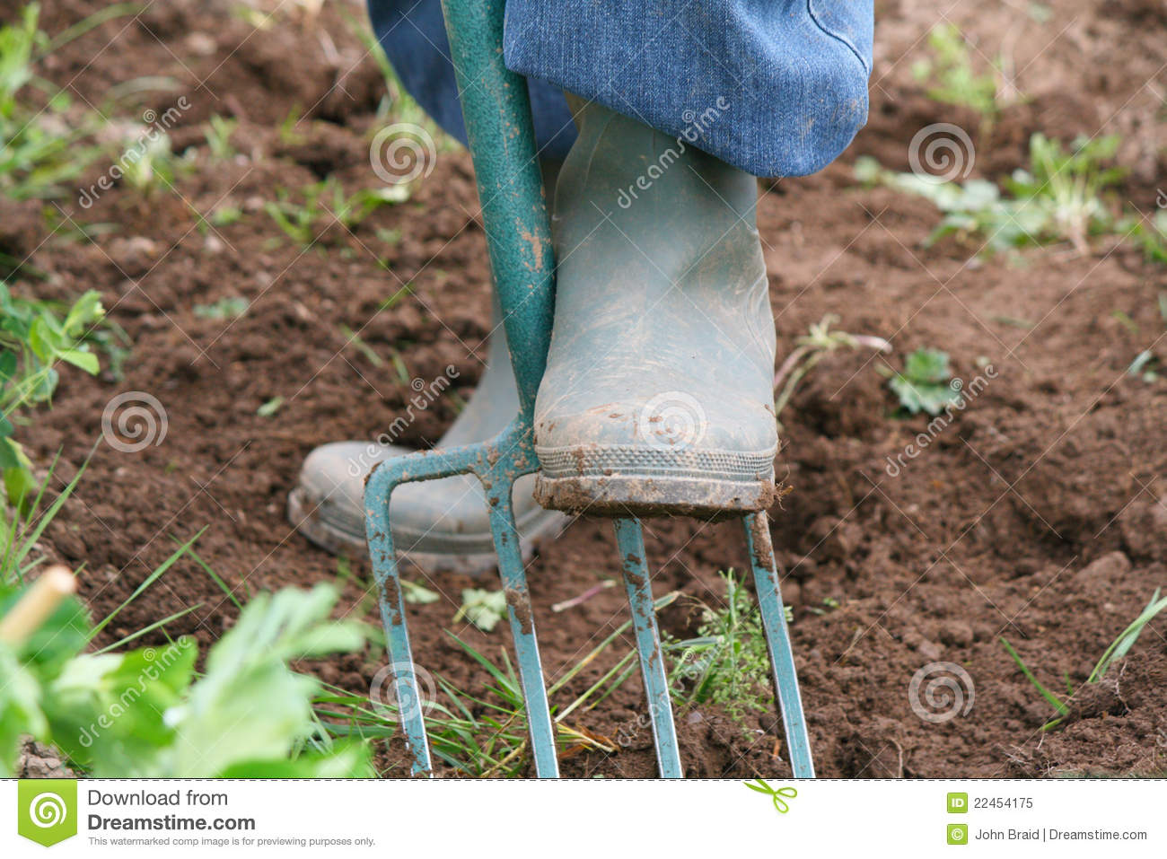 Woman Digging Garden