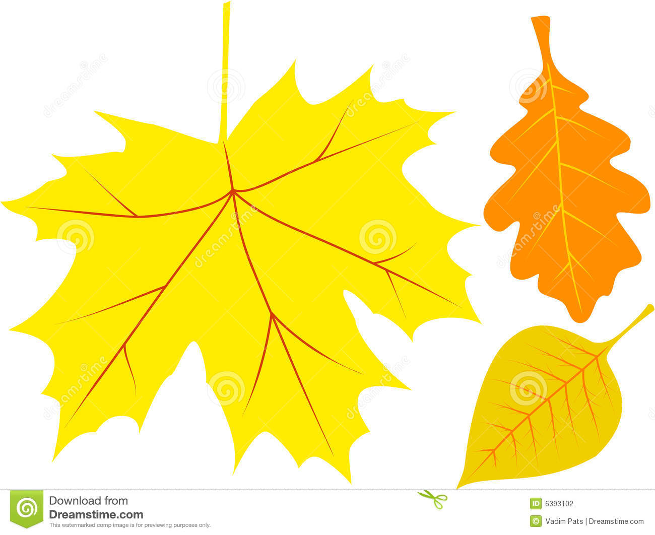 Autumn Leaf Vector Illustration