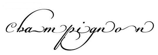 Best Free Calligraphy Fonts