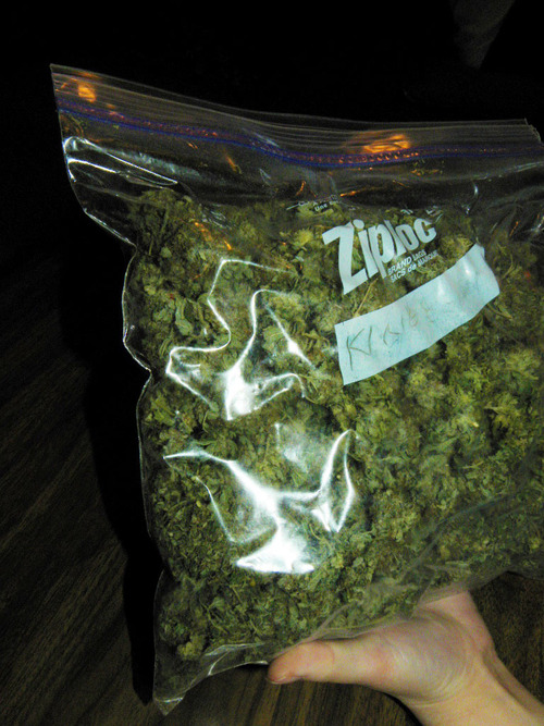 Big Weed Bag