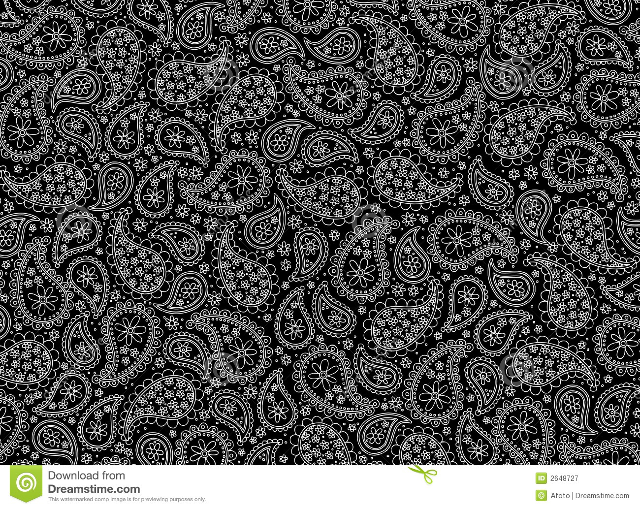 Black and White Paisley Pattern Vector