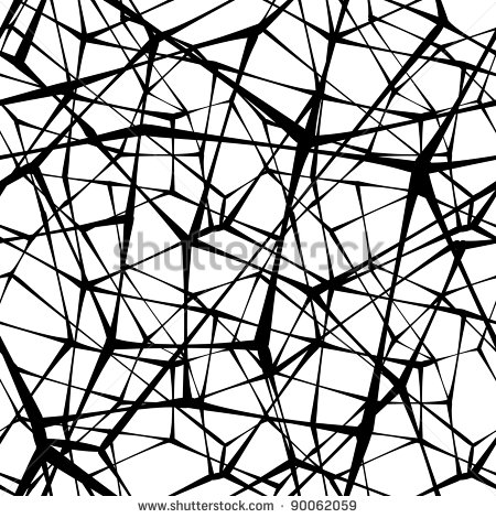 Black and White Spider Web Pattern
