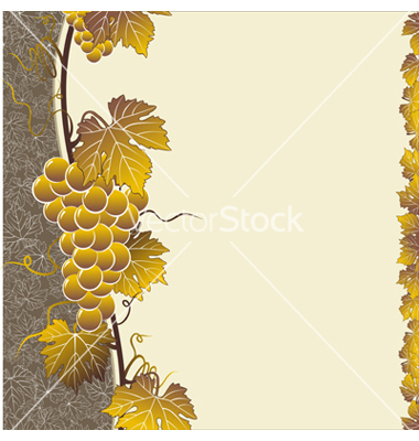 Brown Grape Vine Frame