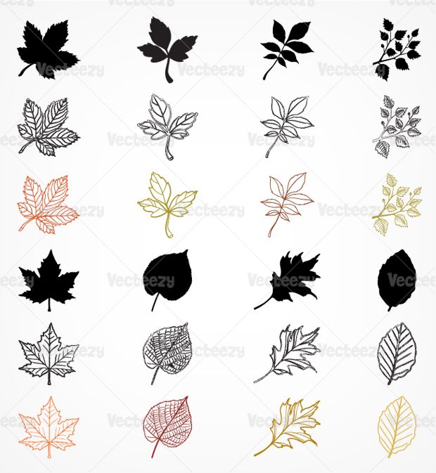 Fall Leaves Silhouette Vector Pack