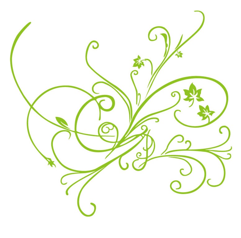 Floral Ornaments Vector