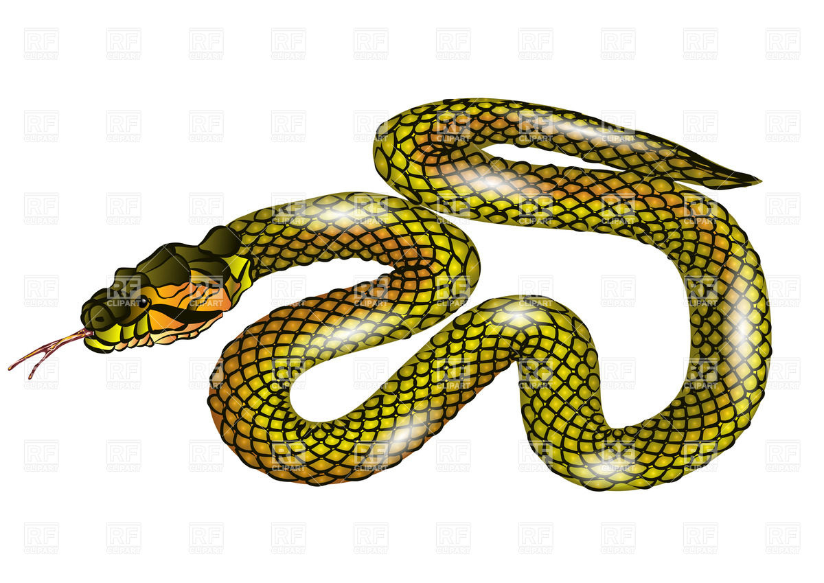 Free Vector Clip Art Snake