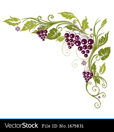Grape Vine Border Vector