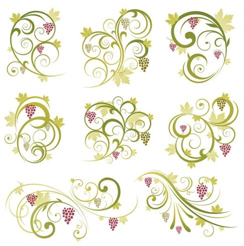 Grape Vine Vector Free