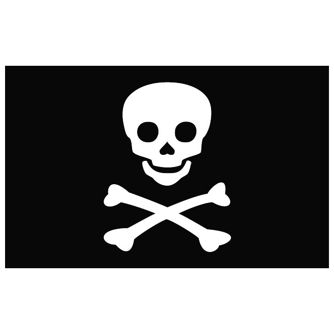 Jolly Roger Pirate Flag