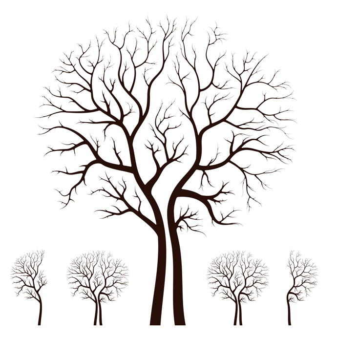 Leafless Tree Clip Art