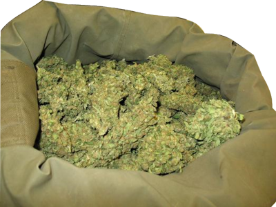 10 Bag Of Weed PSD Images