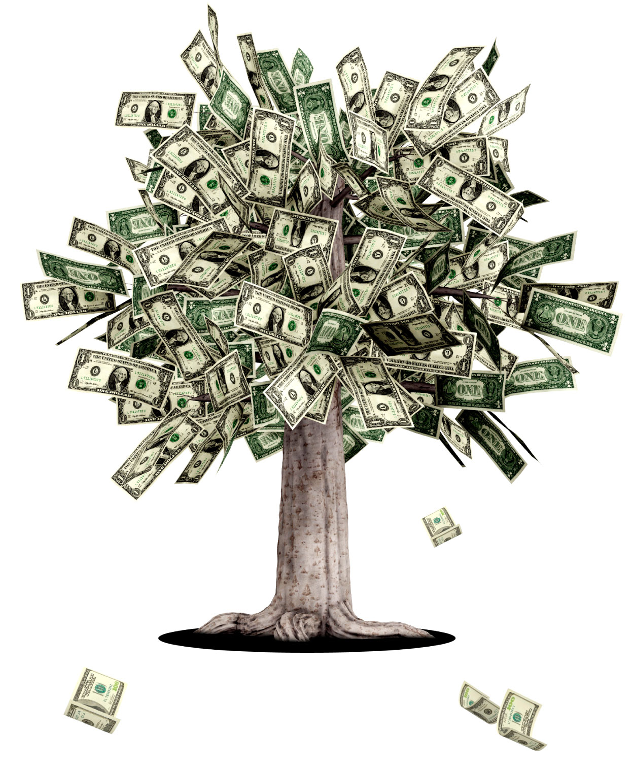 Money Tree