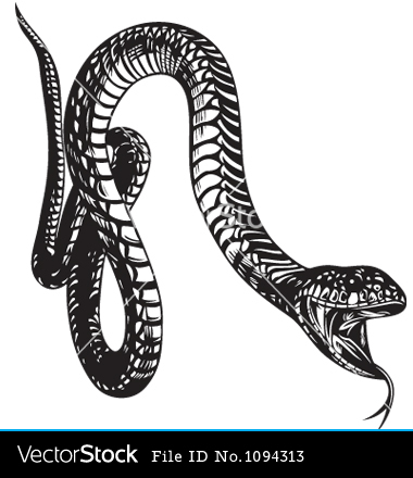 Snake Vector Art Snake Vector Art