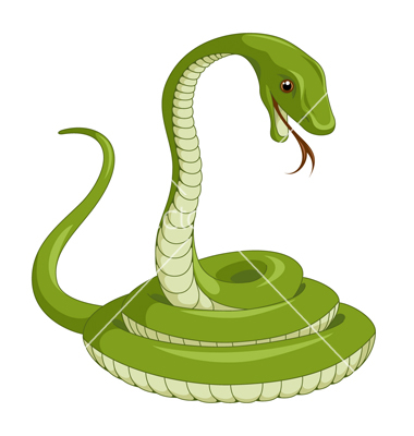 Snake Vector Art