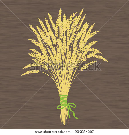 Stocks of Wheat & Barley Paintings