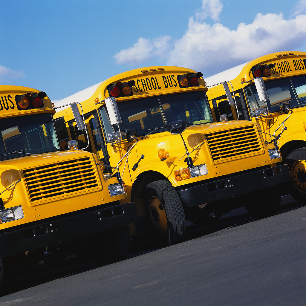 Transportation School Buses