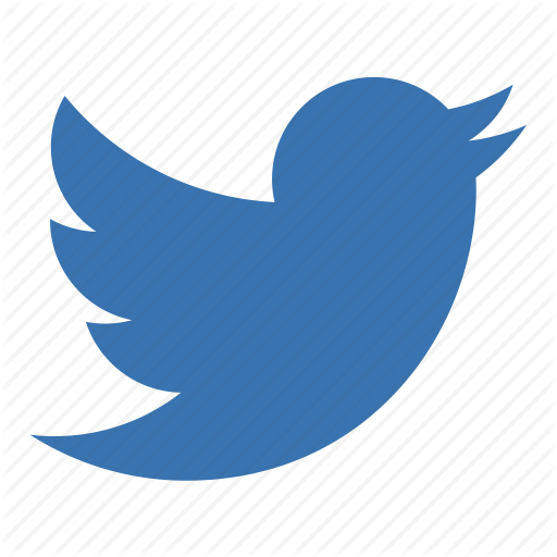 Twitter Bird Logo Icon