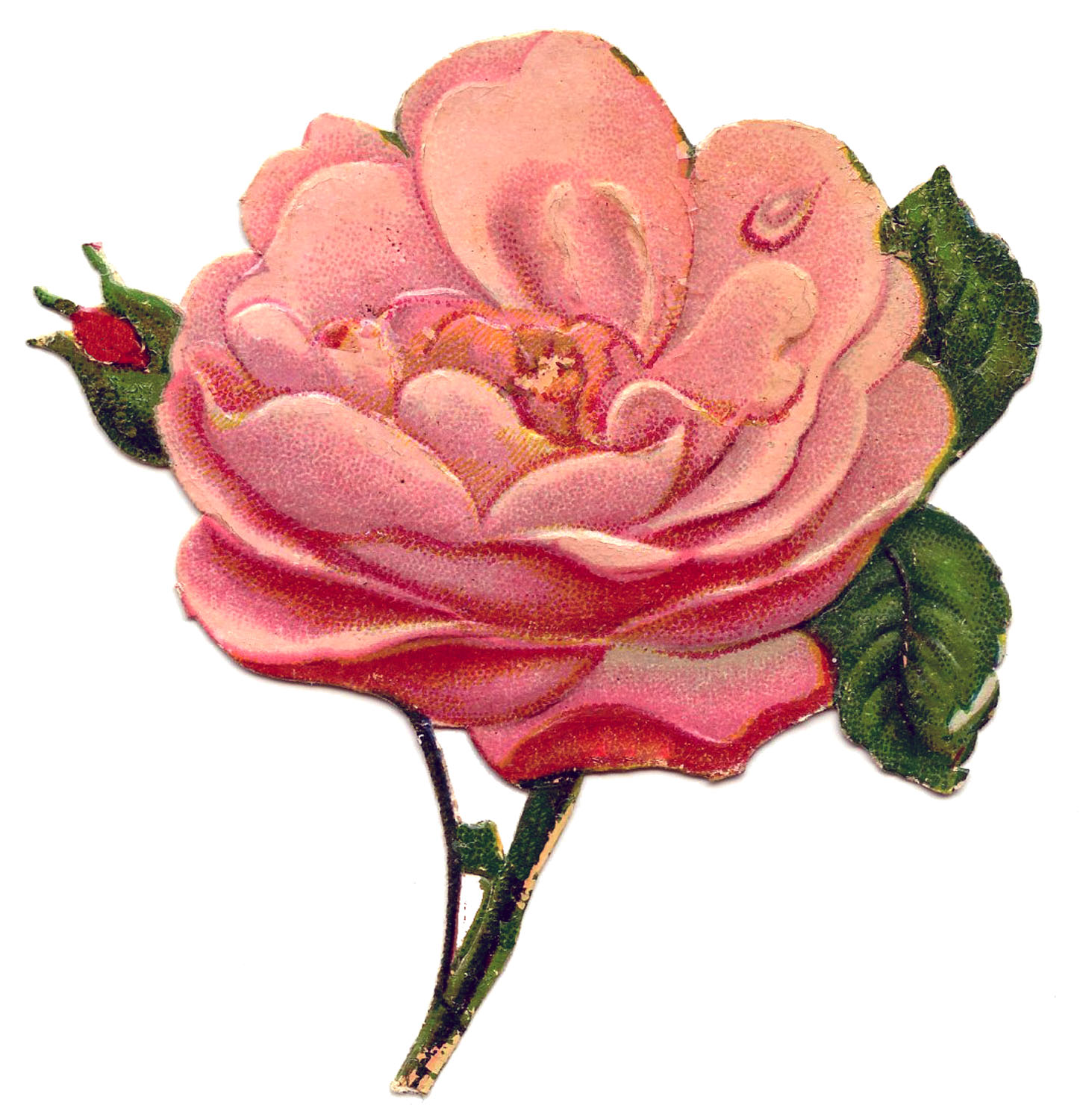 Victorian Pink Roses Clip Art Victorian Pink Roses Clip Art