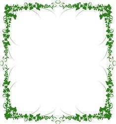 Vine Borders and Frames