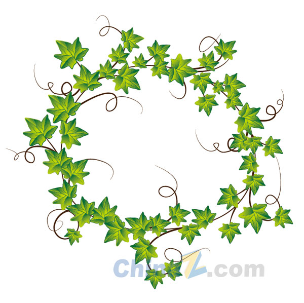 Vine Vector Free Decorative Borders