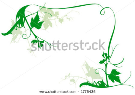 Vines Frame Vector